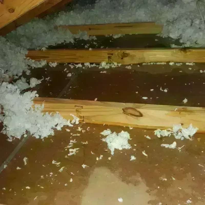 Attic Water Damage in Lake Ripley, WI