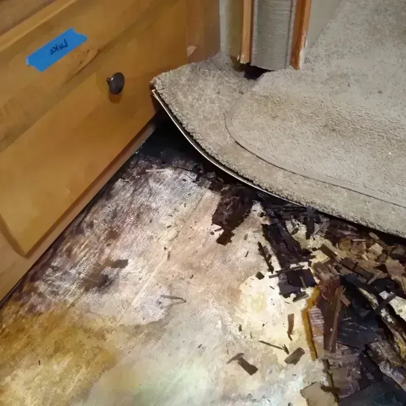 Wood Floor Water Damage in Lake Ripley, WI